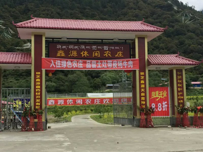 西藏林芝縣鑫源農(nóng)家樂(lè)休閑莊樹(shù)脂瓦工程